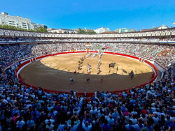 Cantabria contra la Tauromaquia denuncia subvenciones a espect&aacute;culos taurinos y anuncia movilizaciones en Santander