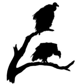 Carro&ntilde;eros....