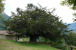 El bombardeo de promesas de los partidos pol&iacute;ticos en Santander.&nbsp;