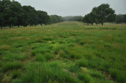 El campo de Cantabria abandonado y la  industria y  construcci&oacute;n en agonia 