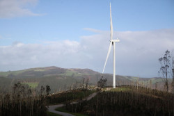 El Gobierno de Cantabria emite informe ambiental desfavorable para el proyecto e&oacute;lico `Olea`