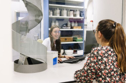 El nuevo arsenal terap&eacute;utico "esperanzador" en Oncohematolog&iacute;a representa un "reto" para los farmac&eacute;uticos hospitalarios