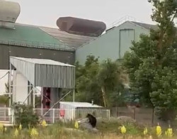 El oso avistado en Reinosa vuelve a su h&aacute;bitat pero Medio Rural seguir&aacute; vigilando la zona