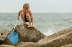 El rede&ntilde;o en 2018