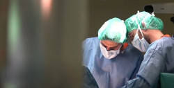 El trasplante de m&eacute;dula &oacute;sea de donante no familiar crece un 30% en el &uacute;ltimo a&ntilde;o, seg&uacute;n la ONT