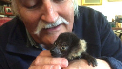  El Zoo de Santillana reabre este s&aacute;bado, con menos de un 30% de aforo y nuevos inquilinos