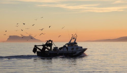Espa&ntilde;a consigue aumentar la cuota de pesca de caballa, jurel, alfonsinos y rape de Gran Sol de 2021