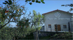 Industria, Marcano, apoya tres proyectos en el sector de las manufacturas agroalimentarias con 110.000 euros