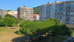 IU Laredo pide que salgan a exposici&oacute;n p&uacute;blica los proyectos de la Alameda Miramar y la calle Guti&eacute;rrez Rada