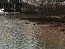 La Autoridad Portuaria hace dejaci&oacute;n de sus obligaciones. &iquest;? 