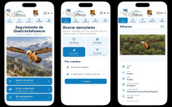 La Fundaci&oacute;n para la Conservaci&oacute;n del Quebrantahuesos lanza una aplicaci&oacute;n m&oacute;vil para el seguimiento de ejemplares