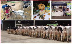 La Granja Cuda&ntilde;a, una empresa familiar con proyecci&oacute;n&hellip;, por Pedro Arce D&iacute;ez 