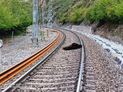  La osa arrollada por un tren de mercanc&iacute;as en Campoo de Enmedio muri&oacute; en el momento por el fuerte impacto