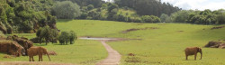 Las instalaciones de Cantur suman 364.500 visitantes en lo que va de verano, un 2,9% m&aacute;s