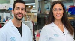 Omomyc demuestra por primera vez su capacidad antimetast&aacute;sica frente al c&aacute;ncer de mama, seg&uacute;n un estudio